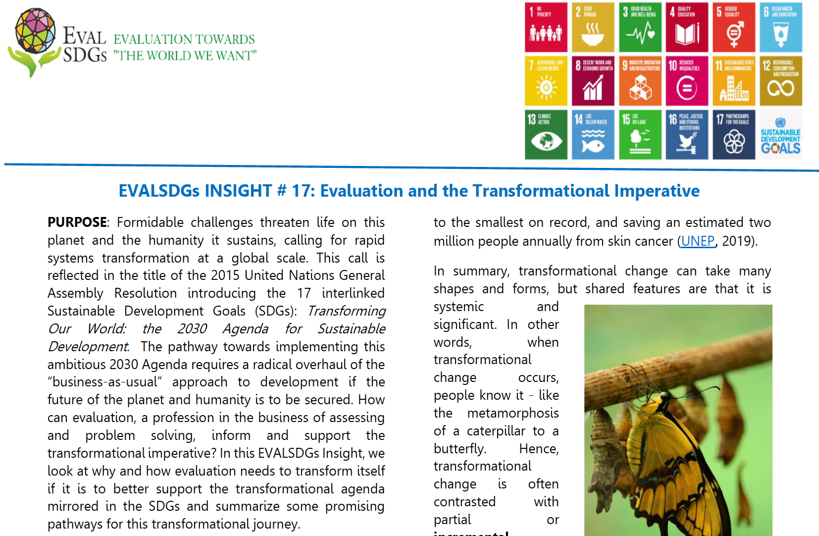 EVALSDGs INSIGHT # 17: Evaluation and the Transformational Imperative